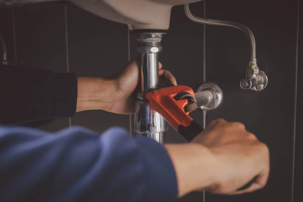 Best Commercial Plumbing Services  in Olathe, CO